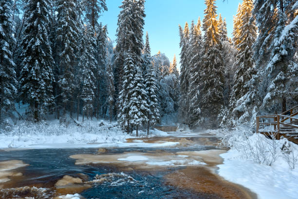 Beautiful winter landscape overlooking a rapid river with rapids. Karelia, beautiful view of the Iyoki River.