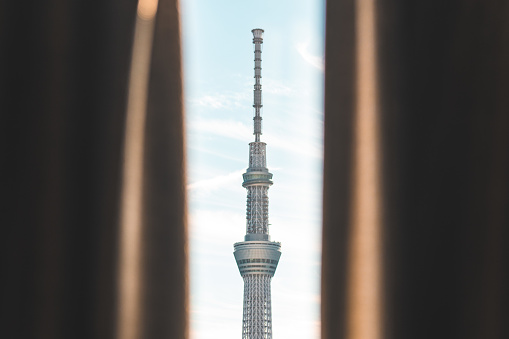 Curtain with Tokyo Sky Tree background
