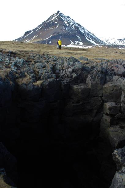 istock Mountains, lava fields and seagulls in Iceland 2003328434