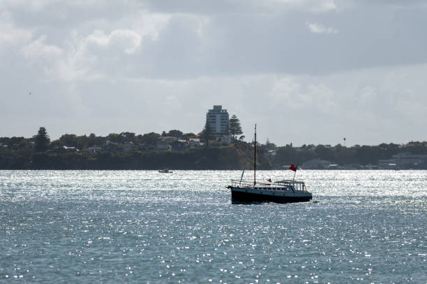 istock Waitemata Harbour, Auckland, New Zealand 2003356965
