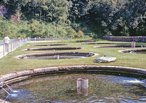 Iowa's first trout hatchery located in Backbone State Park, Iowa, USA. Closed in 1987. Photographed in 1967.
