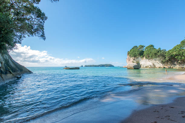 istock Cathedral Cove, Coromandel, New Zealand 2003359093