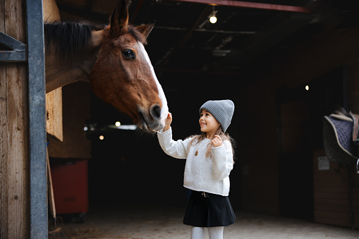 A young girl hugging a horse. Friendship between human and animal. A beautiful Autumn season of a young girl and horse