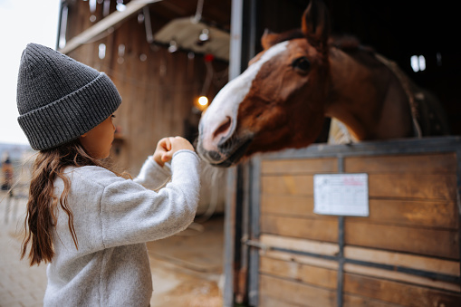 A young girl hugging a horse. Friendship between human and animal. A beautiful Autumn season of a young girl and horse