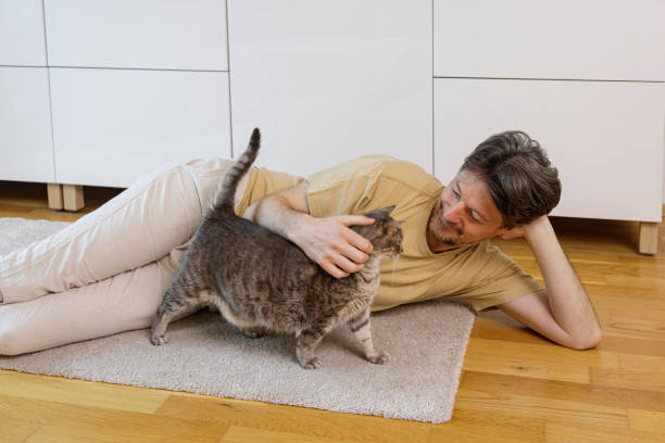 istock Man Lying on Floor Petting His Cat 2003380281