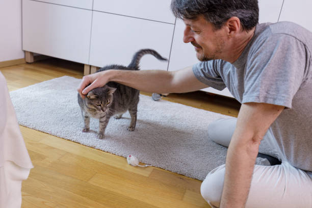 istock Man Sitting on the Floor Petting His Cat 2003381309