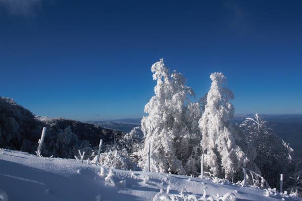 istock Winter time in Apennines italy 2003386622