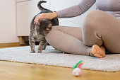 Woman Sitting on the Floor Petting His Cat