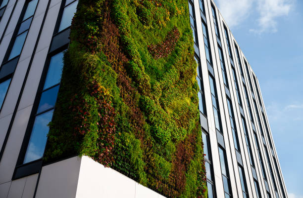 istock green construction - the future of cities - Ecological design 2003419493