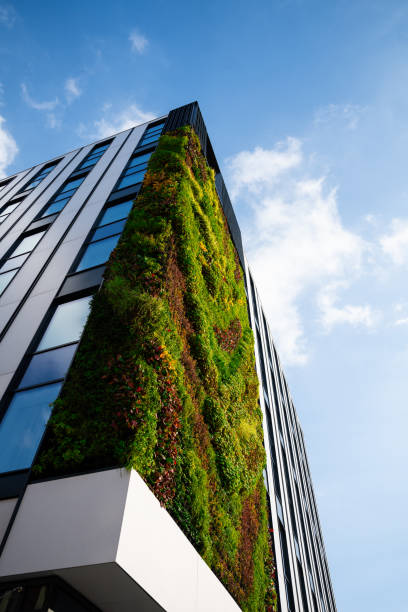 istock green construction - the future of cities - Ecological design 2003423155