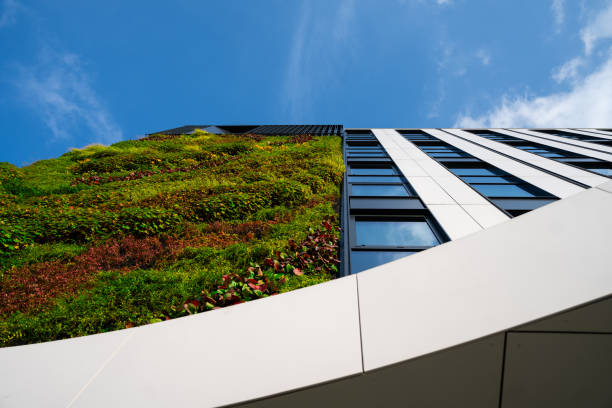 istock green construction - the future of cities - Ecological design 2003425755