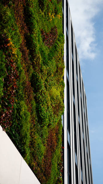 istock A green building covered with moss, plants, grass - modern construction in line with the ESG policy 2003425756