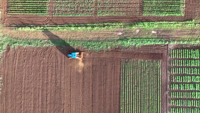 Aerial Drone Video From Above Tractor Plowing Field On The Caribbean Island Of Puerto Rico