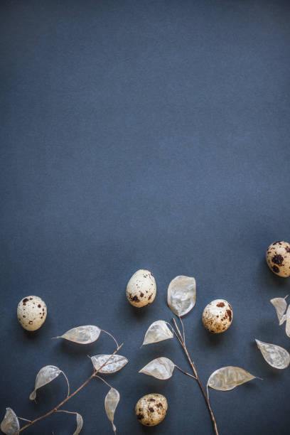 istock Easter poster and vertical banner with Easter quail eggs and dried spring flowers on dark blue background with copy space 2003454778