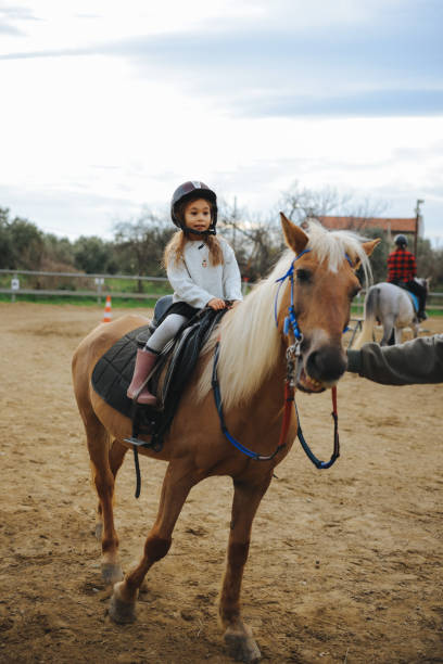 istock Beautiful girl getting ready to ride her horse 2003461248