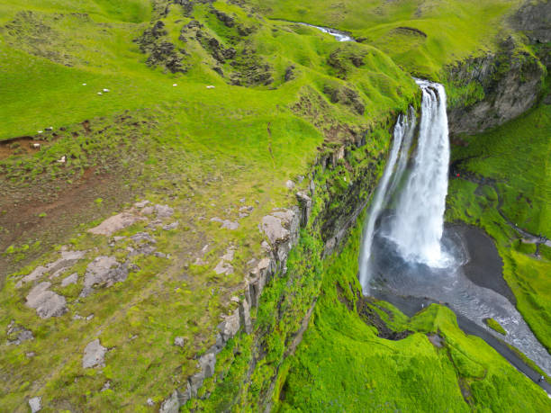 istock Seljalandsfoss waterfall in iceland 2003463635