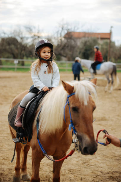 istock Beautiful girl getting ready to ride her horse 2003467509