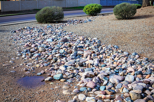Desert style xeriscaped roadsides with drought-tolerant shrubs and river rocks over gravel after winter rain in Phoenix, Arizona