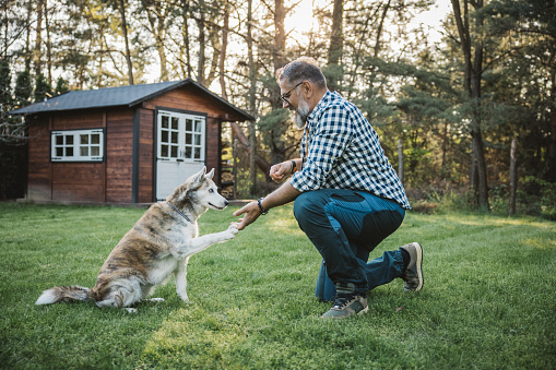 Mature men playing with his dog at backyard of cottage.