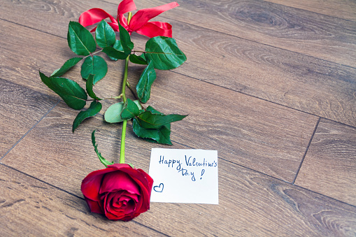 Valentines day romantic background - red rose and happy valentine's day card