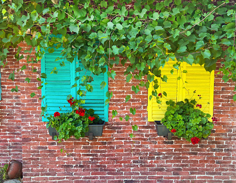 Beautiful house facade  with colorful shutters and flowers