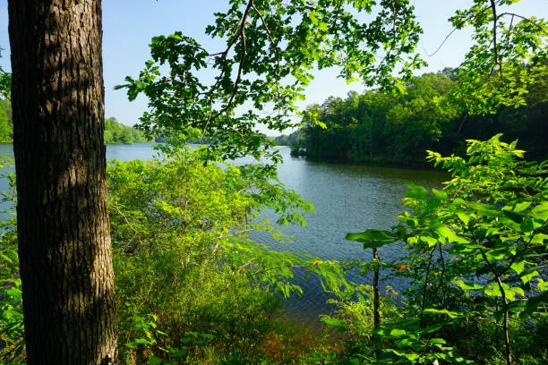 istock Lake Lurleen State Park Alabama 2003509427