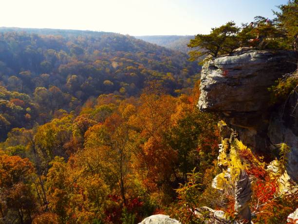 istock Buck's Pocket State Park Alabama 2003509947
