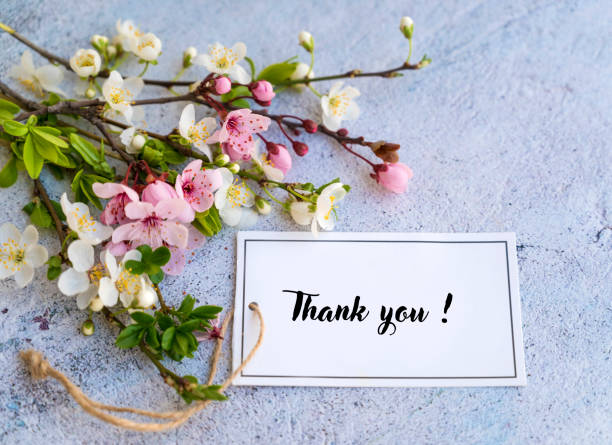 istock Thank you Card with Cherry Blossom 2003517264