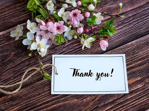 Thank you Card with Cherry Blossoms on Pink Wooden Background