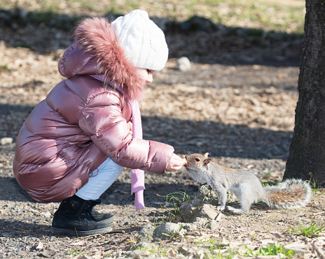 A little girl feeds a squirrel with walnuts in Turin's Valentino Park. The animal munches the food from her hand with confidence.