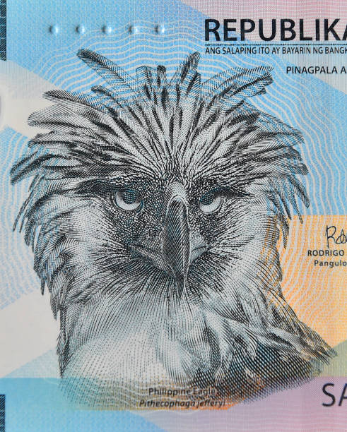 istock the monera eagle or philippine eagle on a Philippine banknote 2003542169