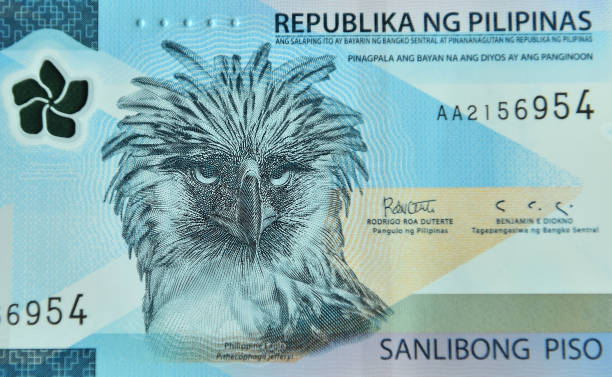 istock the monera eagle or philippine eagle on a Philippine banknote 2003544886