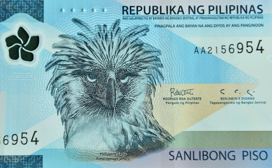 the monera eagle or philippine eagle on a Philippine banknote