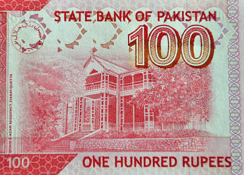 Macro close-up of banknote pattern design