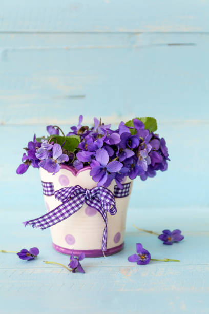 istock Bouquet of violets in small vase 2003559106