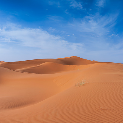 This panoramic landscape is an very high resolution multi-frame composite and is suitable for large scale printing.\nSand dunes on Western Sahara Desert in Morocco, part of Sahara Desert. The Sahara Desert is the world's largest hot desert.