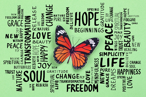 The Butterfly and Transformation - word cloud on green background