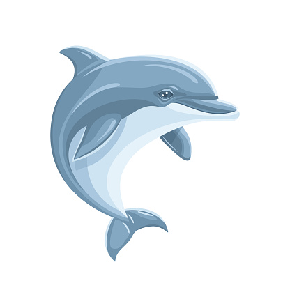 Gray blue cartoon dolphin isolated on white background, flat vector illustration