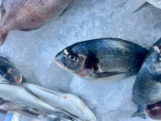 istock Fresh fish on ice in the supermarket. 2003689764