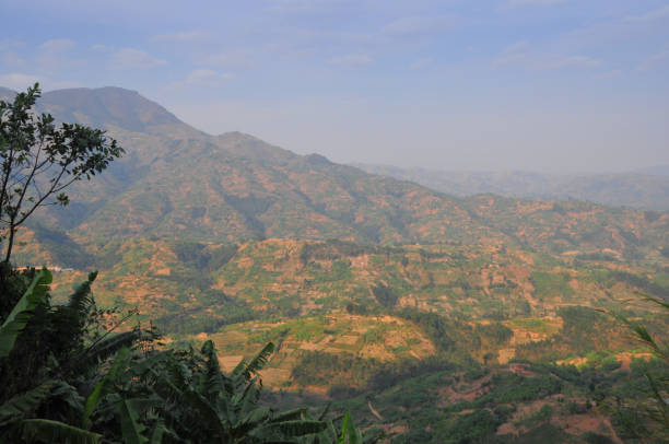 Nemba Sector, Gakenke Distirct, Northern Province, Rwanda: tranquil beauty of the Rwandan highlands with farmed hillsides.