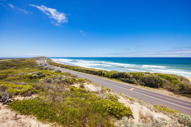 istock Thirteenth Beach in Barwon Heads in Australia 2003795158