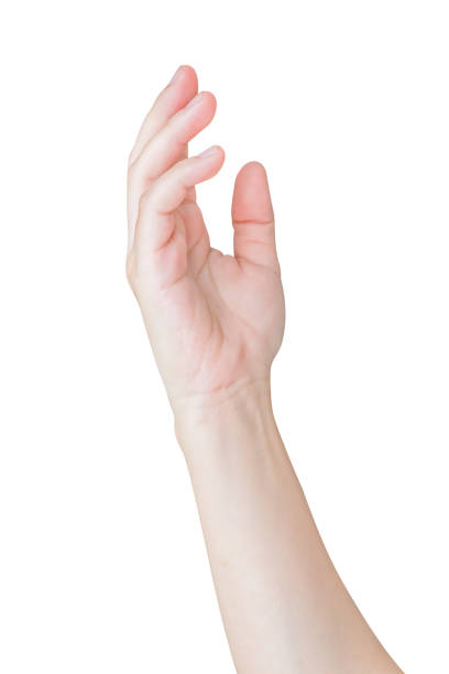 istock Woman hand gesture isolated on white background 2003807768