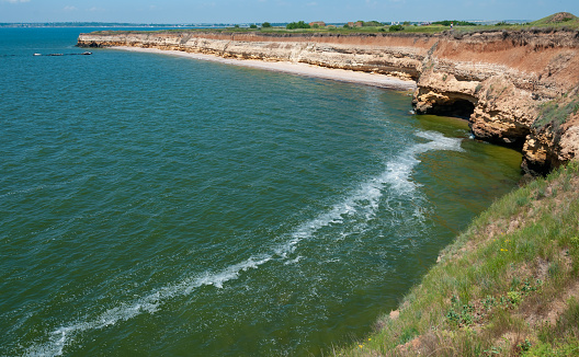 Steep clayey and shell rock shore overgrown with wild steppe vegetation on the island of Berezan, Ukraine