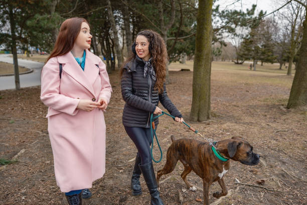 istock Young Lesbian couple taking a  boxer dog for a walk 2003820118