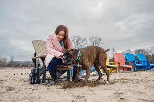 Young lesbian woman with her boxer dog on the beach in winter. She is dressed in casual winter clothing. Exterior of sandy beach in winter on cloudy day.