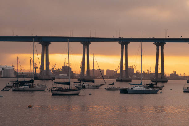 film vibes - san diego california bridge coronado beach outdoors 뉴스 사진 이미지