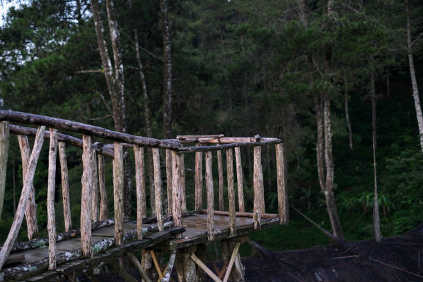 istock Wooden Balcony on a Treehouse 2003912751
