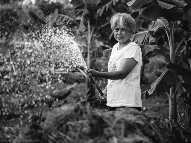 asian elderly woman watering plant