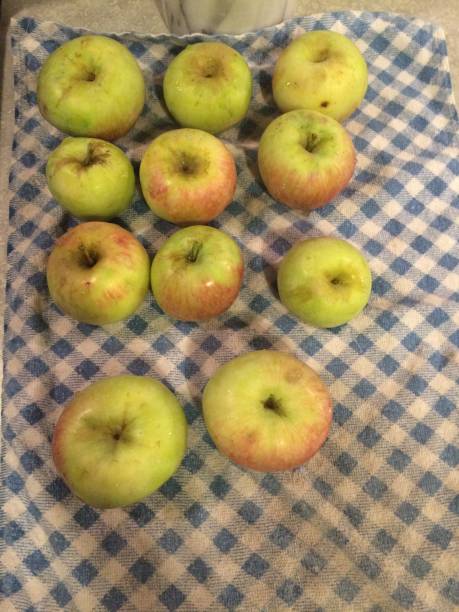 istock Fresh Picked Apples on Checkered Cloth from Orchard in Arizona 2003993343