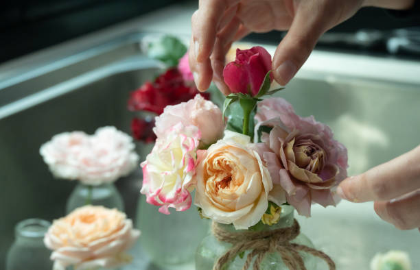 istock Woman arranging various roses in glass vase. 2004082842